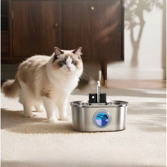 PawFlow™ Steel Water Dispenser